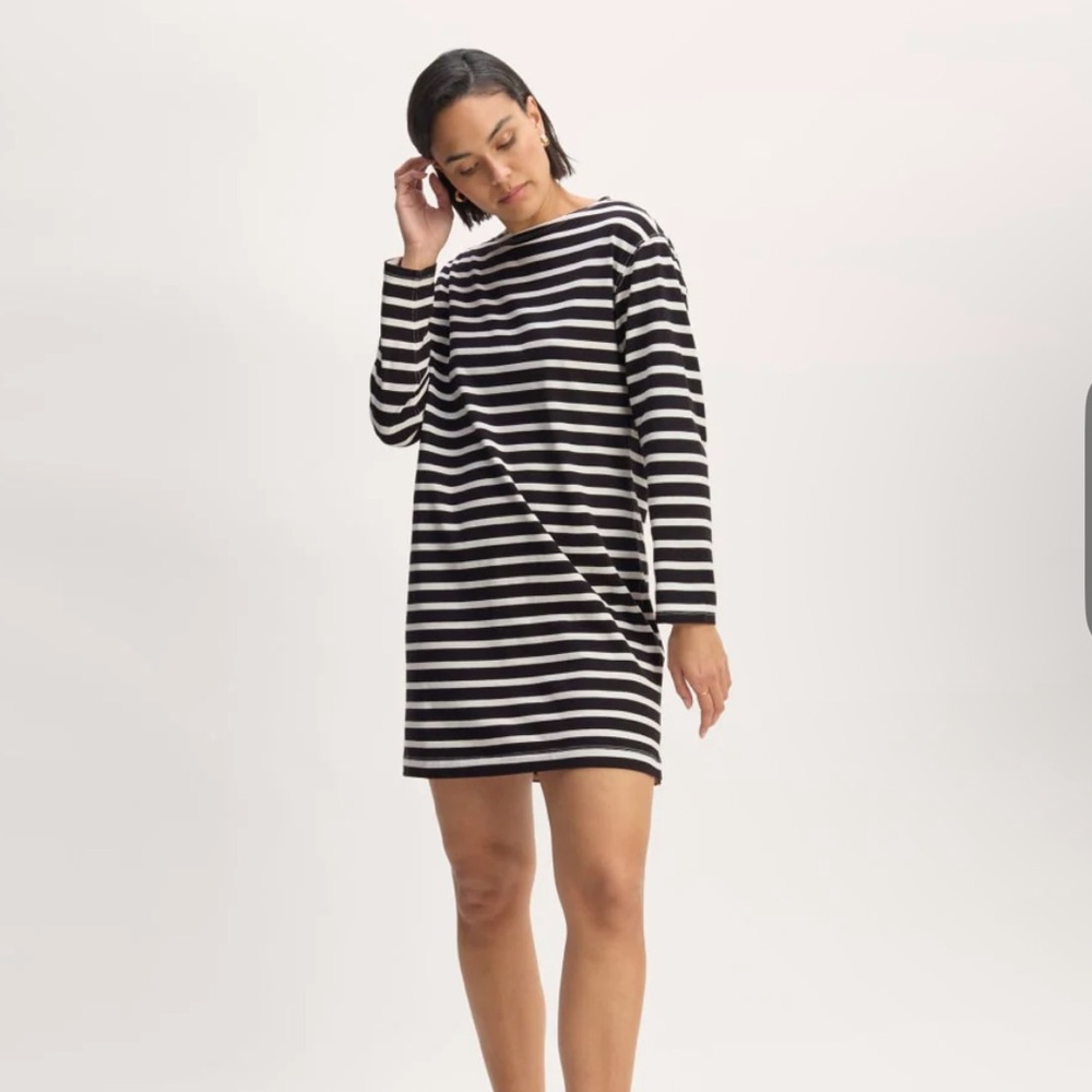 Everlane striped cotton shirt dress